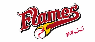Team Logos - RG Flames