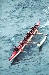 Catalina Race