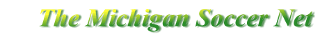 msnbanner.gif