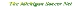msnbanner.gif