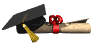 grad cap & diploma