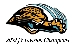 Jags JV Champs Logo