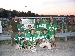 Varsity Jets With Sign