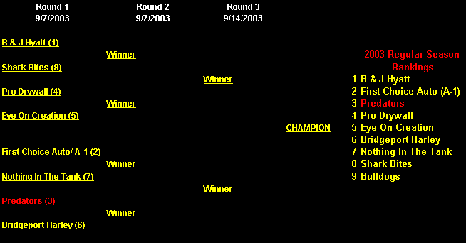 Playoffs2003