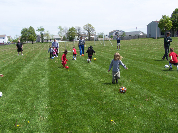 Kickers 5331