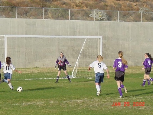 geslee scoring