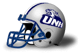 newhampshirehelmet