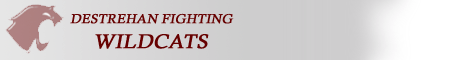 Destrahanlogo