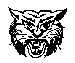 BEARCAT