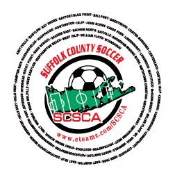 2008 logo-2