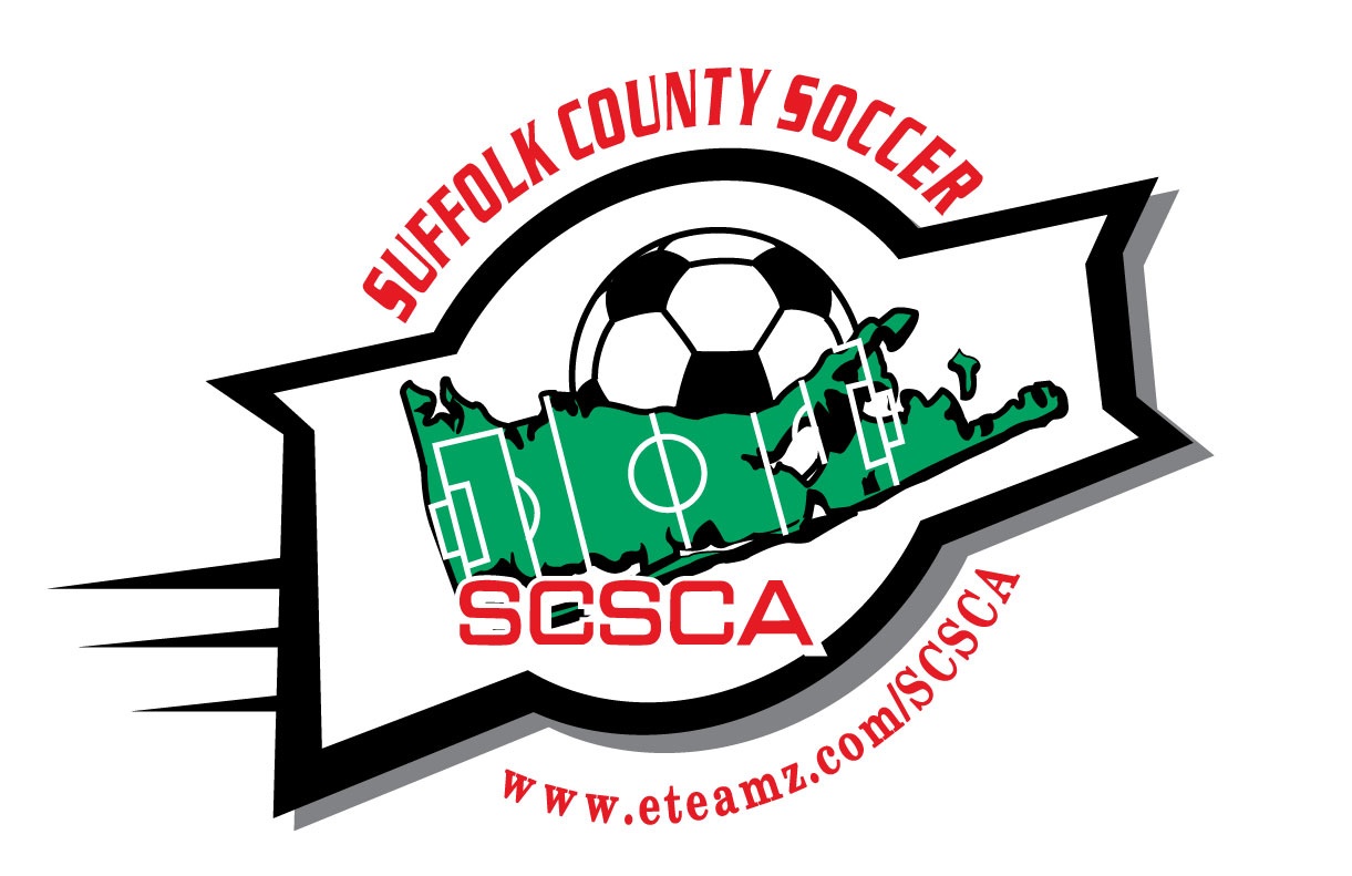 2008 logo