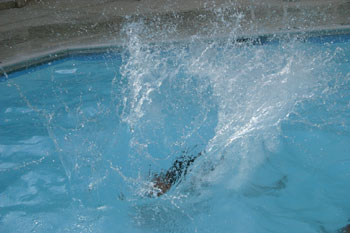 Splash