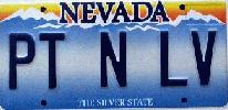 PT N LV