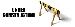 image_name2