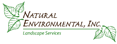NE Logo