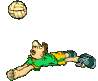 Adult Volleyball Leagues