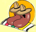 Mexicana