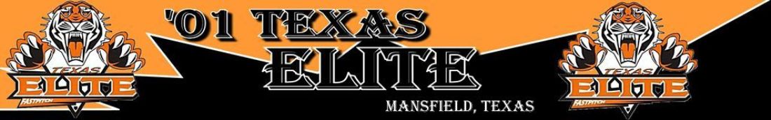Texas Elite Logo.jpg