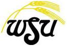 Wichita State