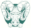 Pine RIchland