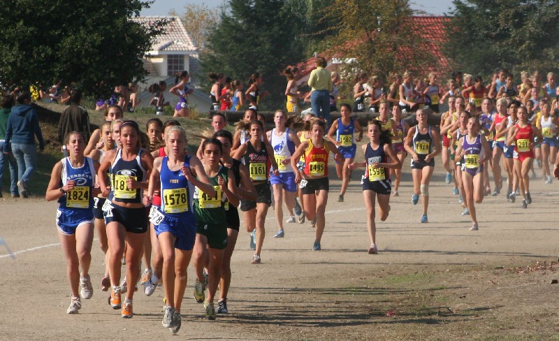 field state 2006