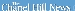 Chapel Hill News Masthead