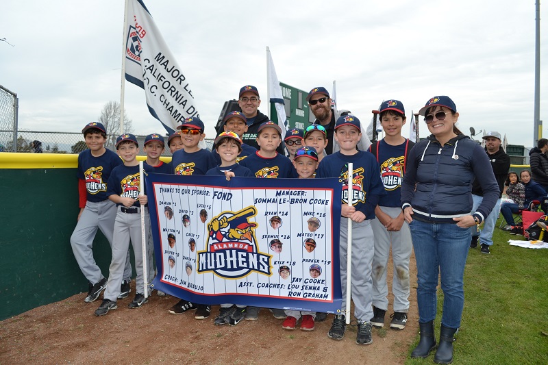 2018-AAA-MudHens.jpg