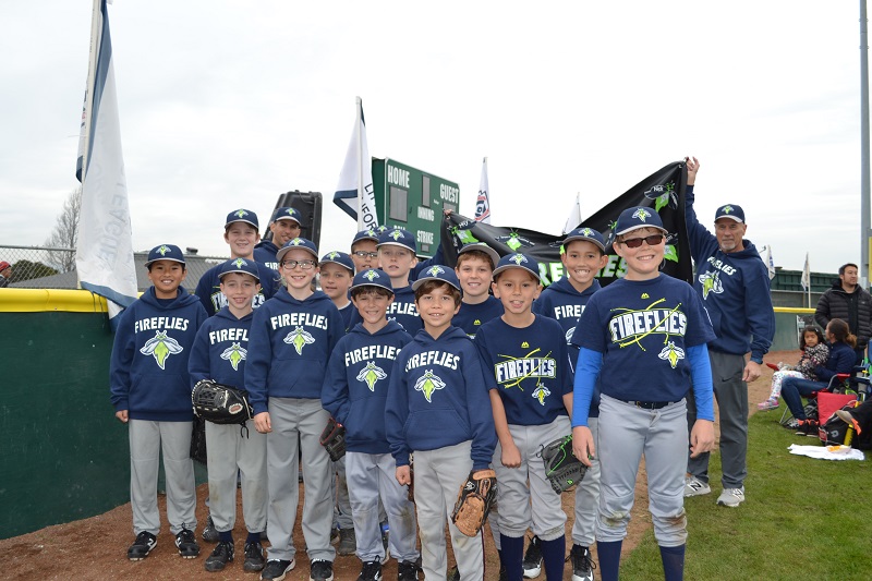2018-AAA-FireFlies.jpg