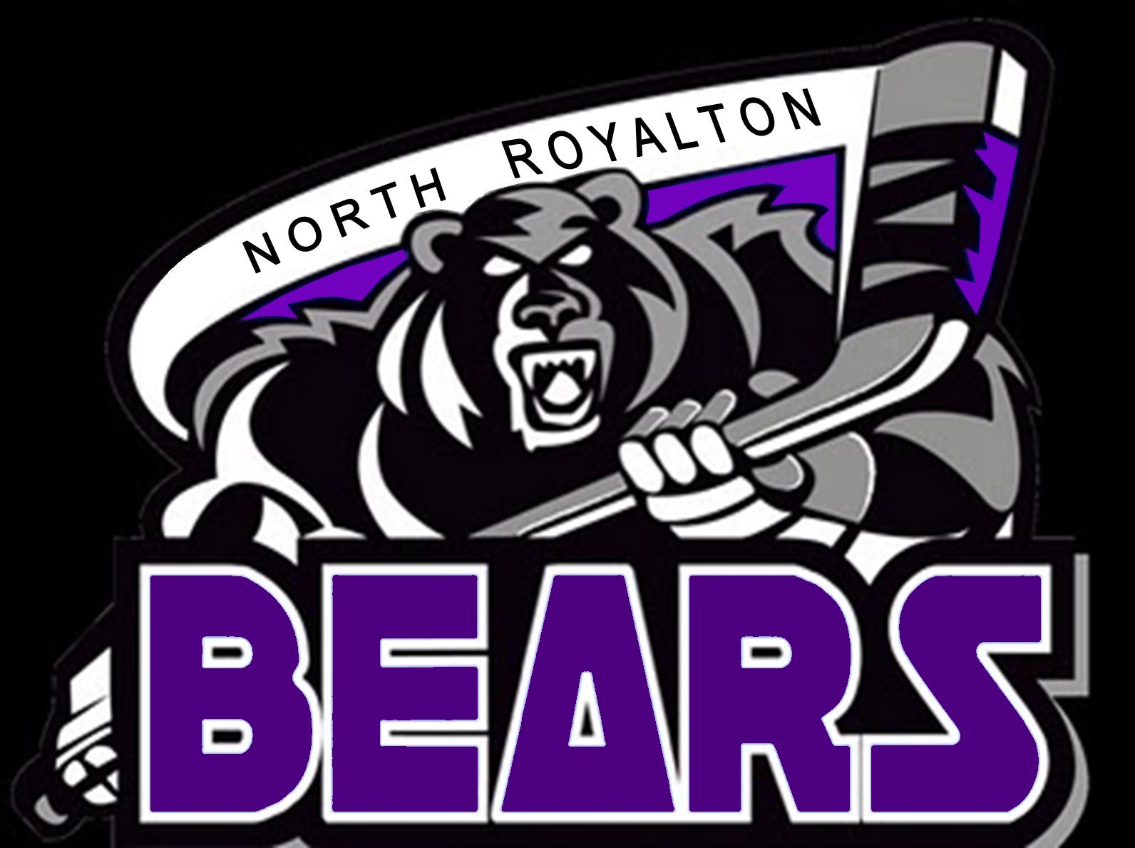 North Royalton - Team Home North Royalton Bears Sports