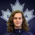 Wollerman Leafs