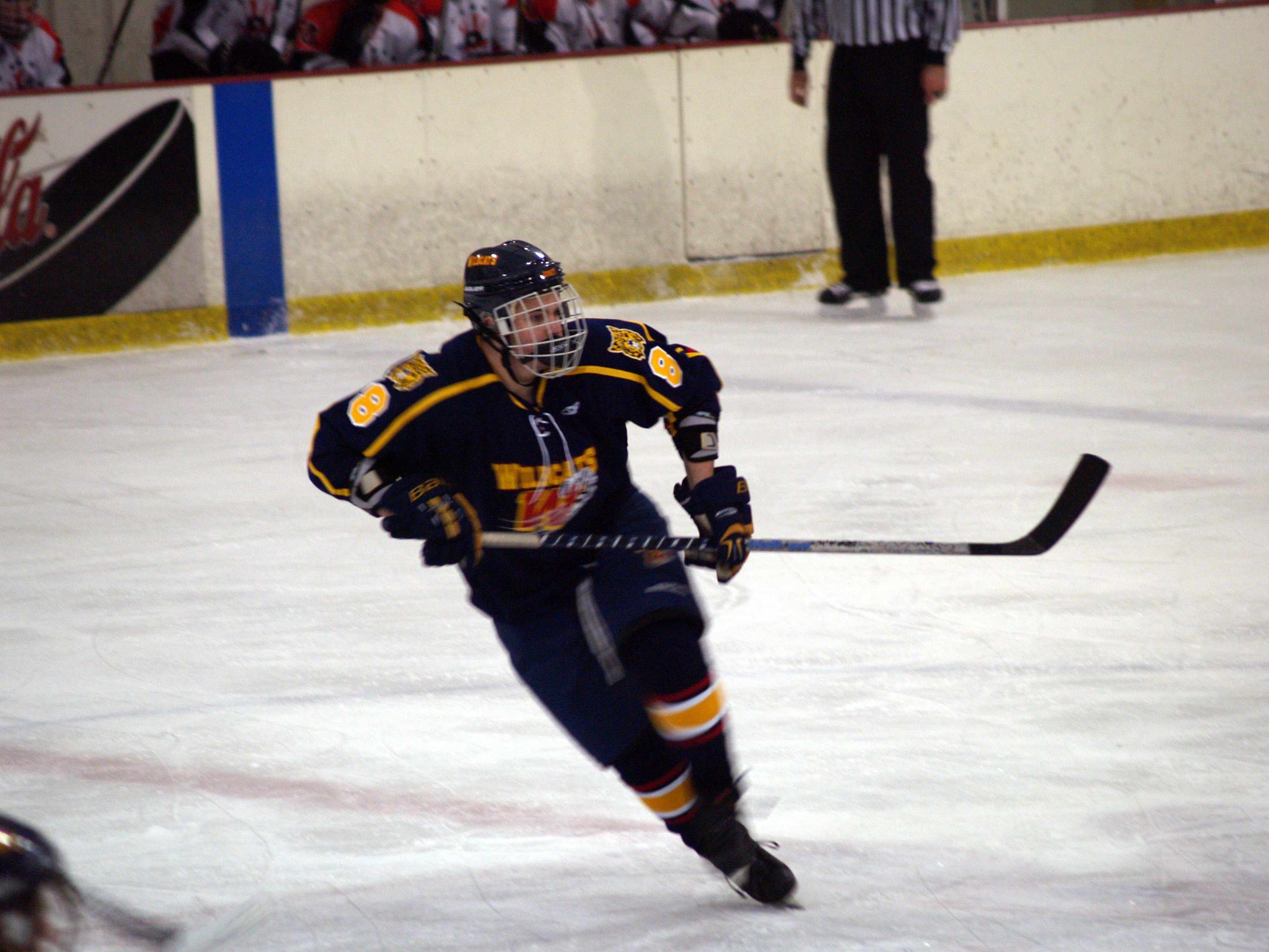 Renae Wildcats