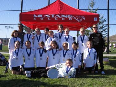 MVLA Turf