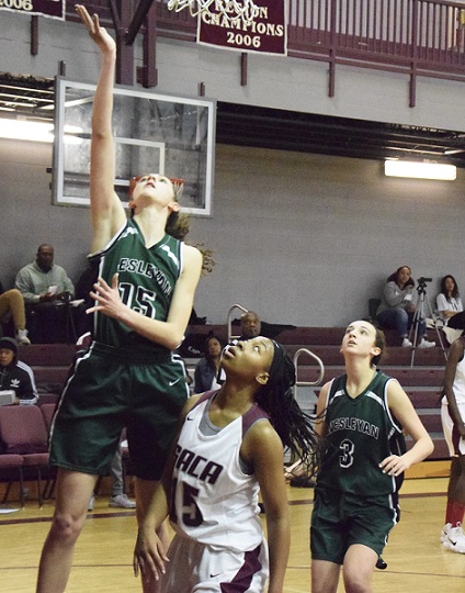 17-18 SACA2_Sutton.jpg