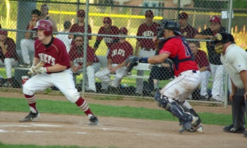 Bercume bunts