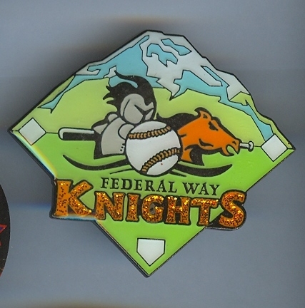 2006 FW KNIGHTS CDP TEAM PIN