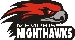 Memphis Nighthawk - Logo