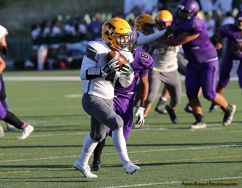 Rodriguez_06_TD