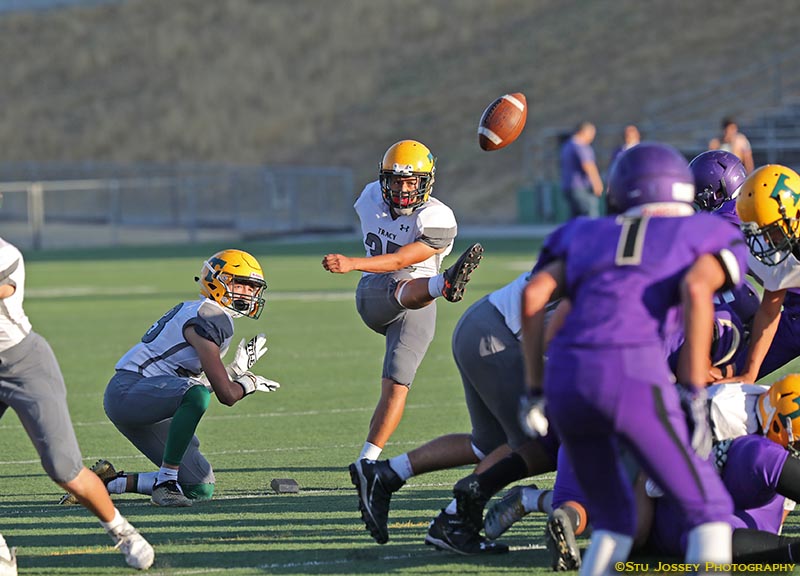 Barbosa Kick vs Tokay