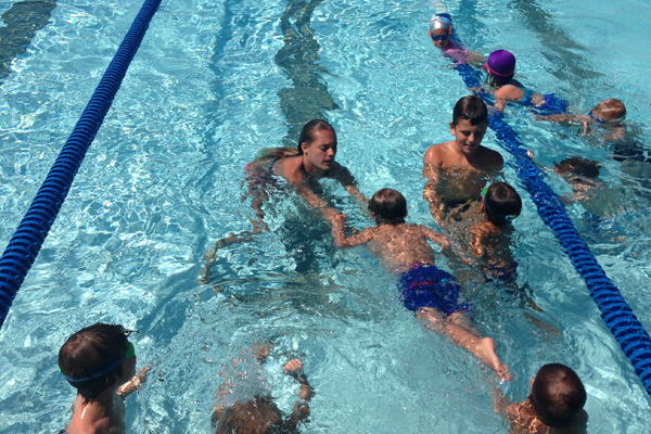 Harbor View Swim Team (HVST) - Mini Dolphins