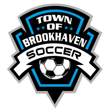 2015 logo