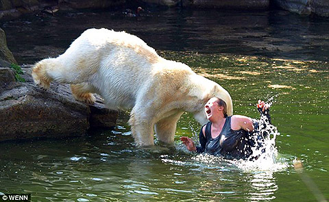 Bear Gets Ya