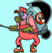 spray bugs