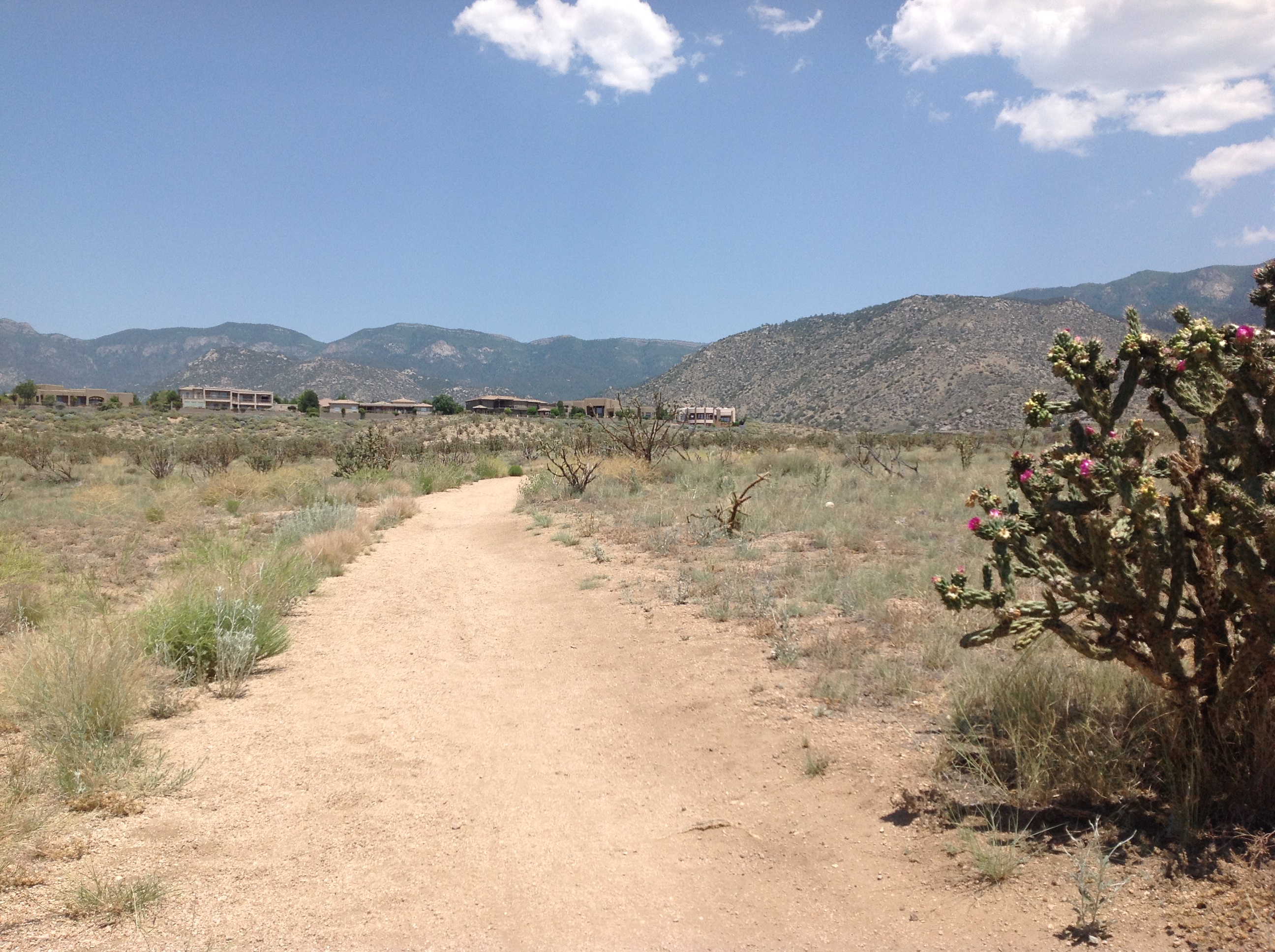 Bear Canyon 10k Trail Challenge - Albuquerque, NM 2015 | ACTIVE