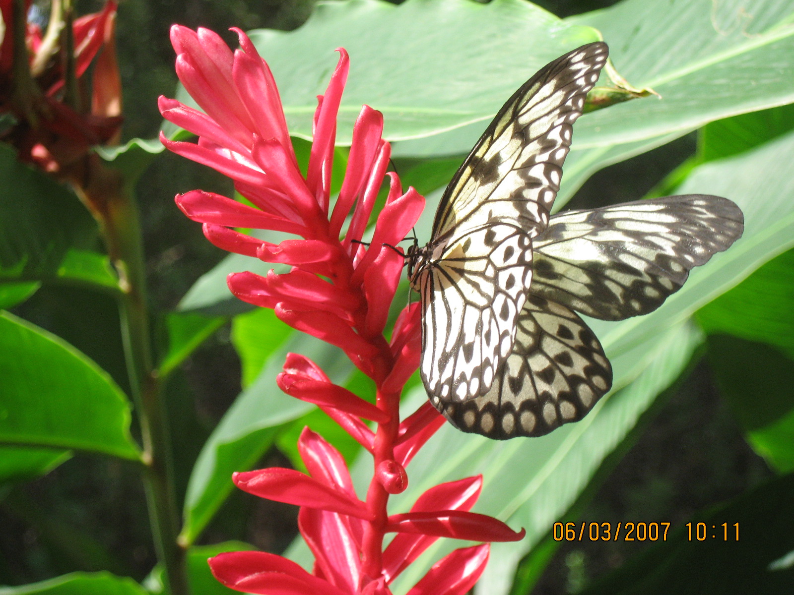 06d825d4-2bb9-4255-853f-30c41c63d28e