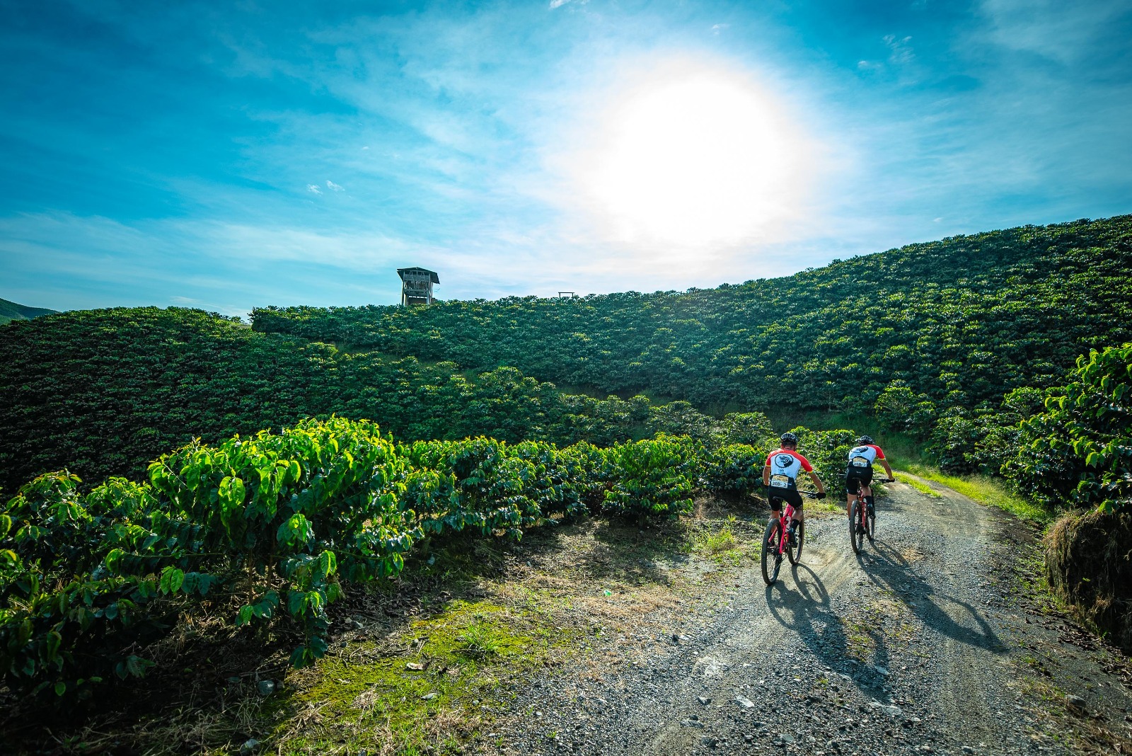 La Leyenda Series Manizales 2024. Sun 25th Feb 2024 Mapometer Events