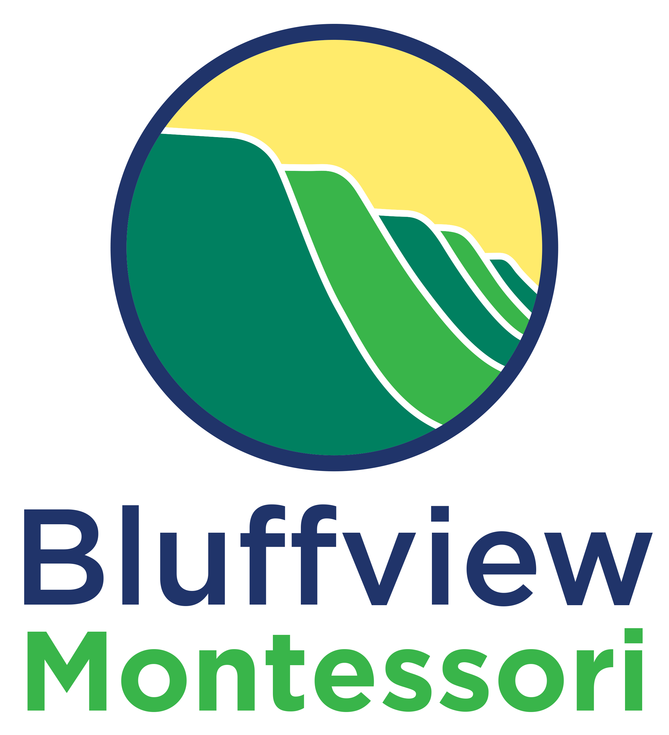 Bluffview Bolt 5K logo