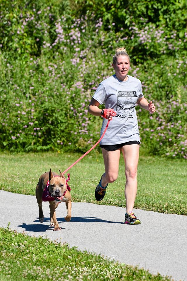 Speranza Animal Rescue Virtual 5K Presented by Dillsburg ...