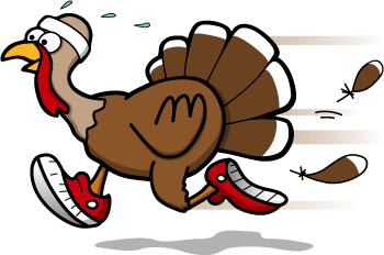 Image result for Turkey running