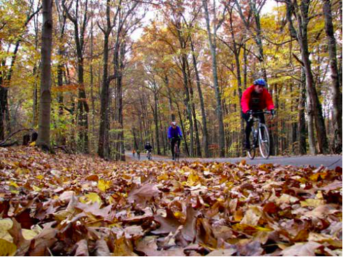 cycling events near me