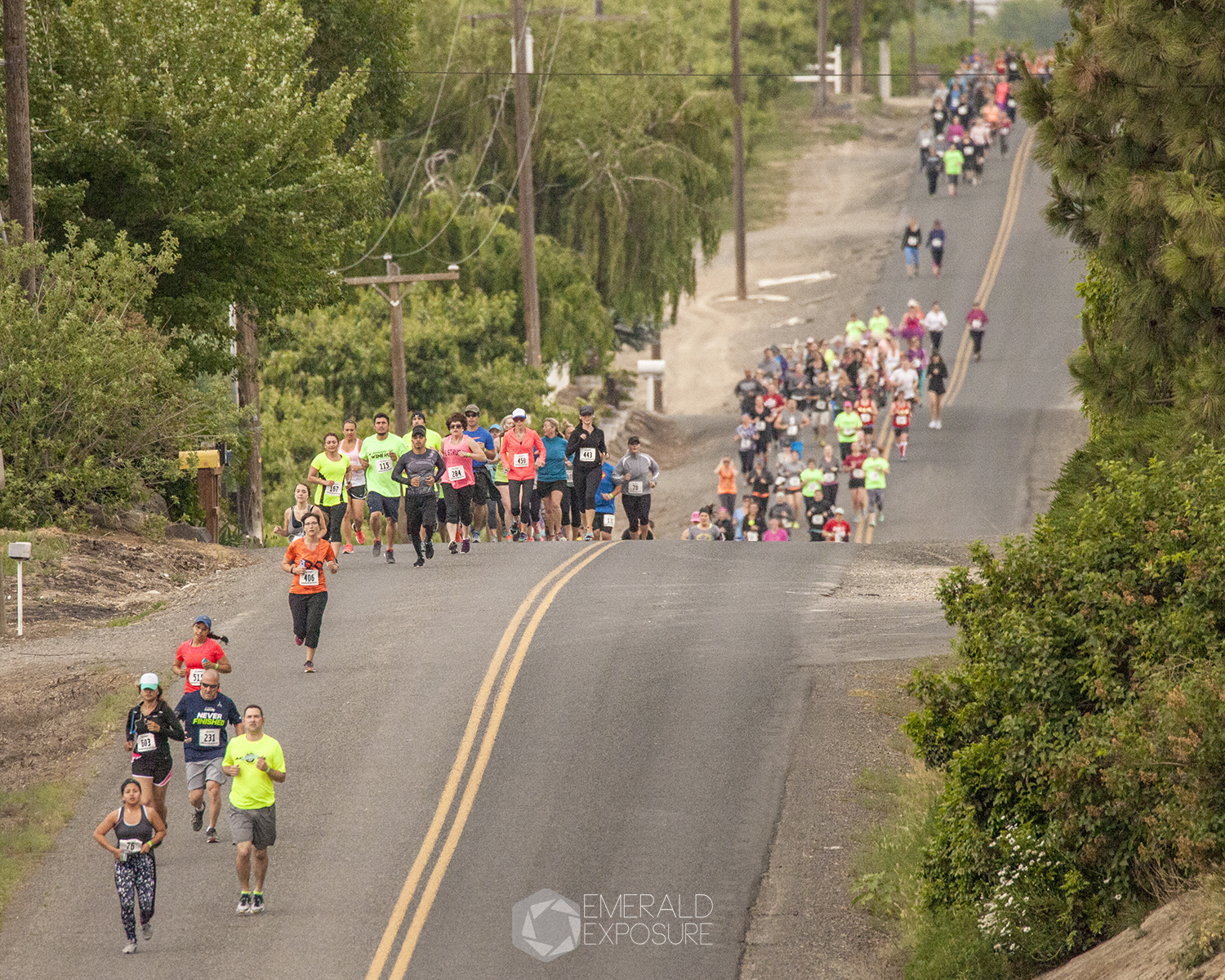 Rattlesnake Hills Wine Run Zillah  WA 2022 ACTIVE